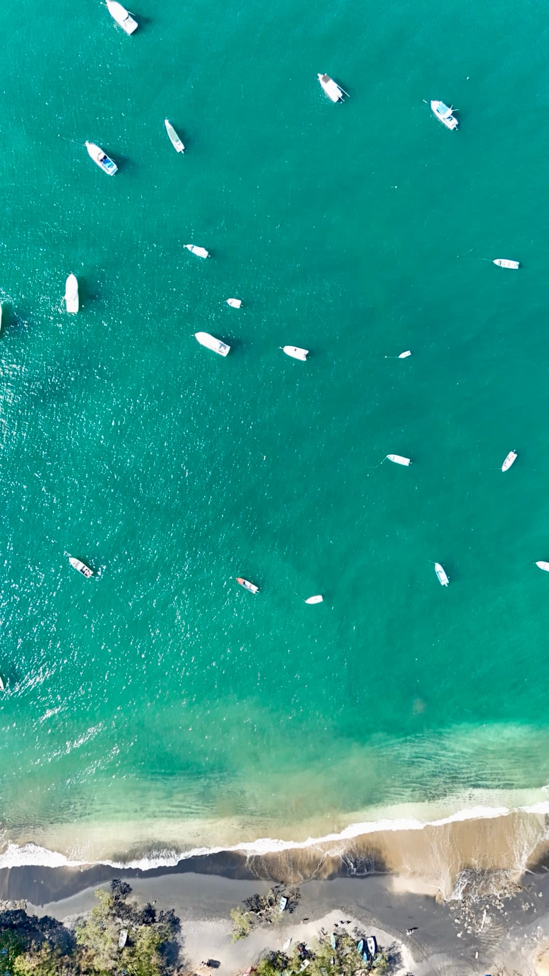 Straight-down aerial of approximately 15 white fishing boats anchored on brilliant turquoise water near a beach shoreline