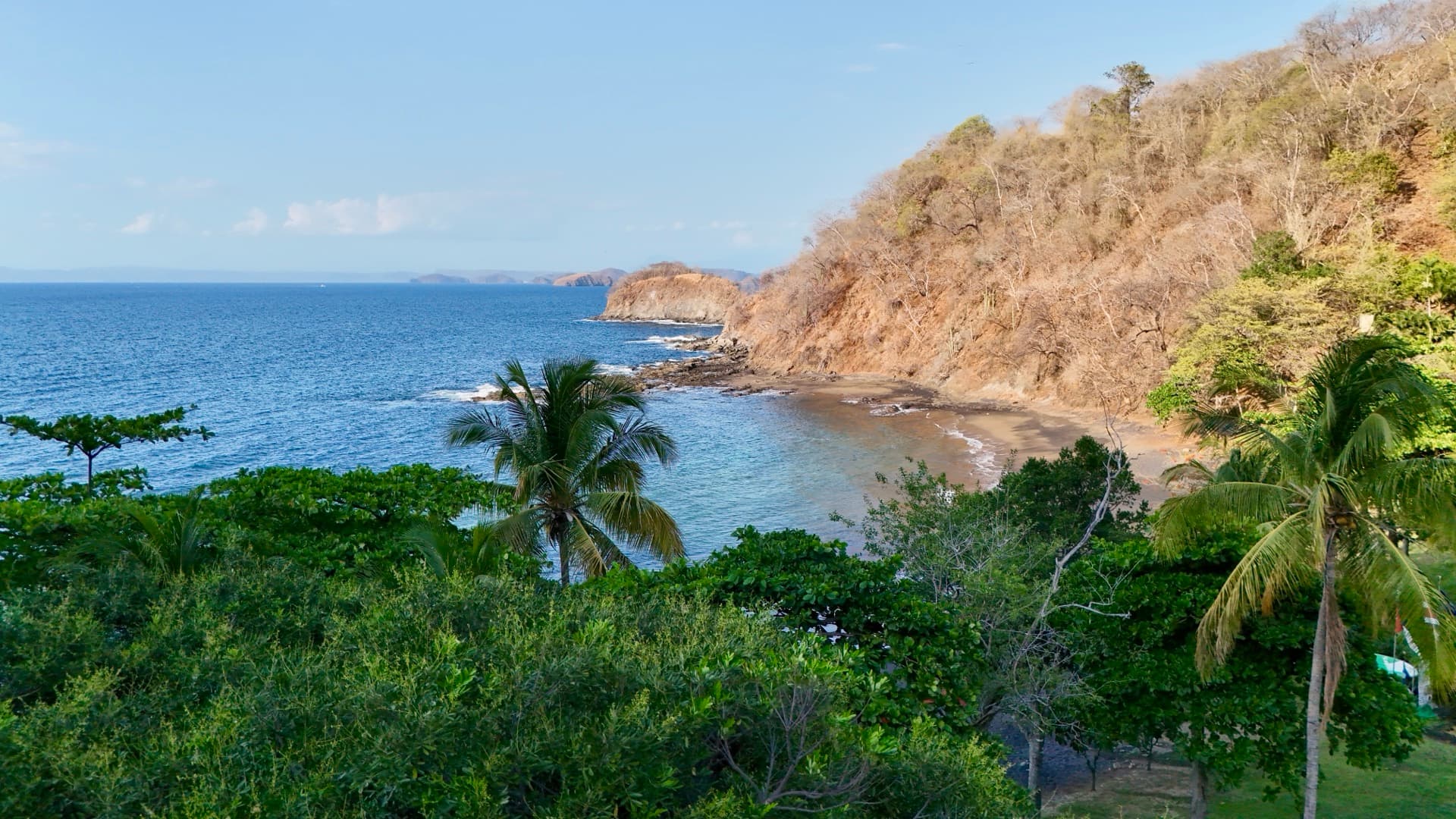 Aerial drone photo looking through tropical palm trees toward a secluded ocean cove with rocky cliffs and blue water