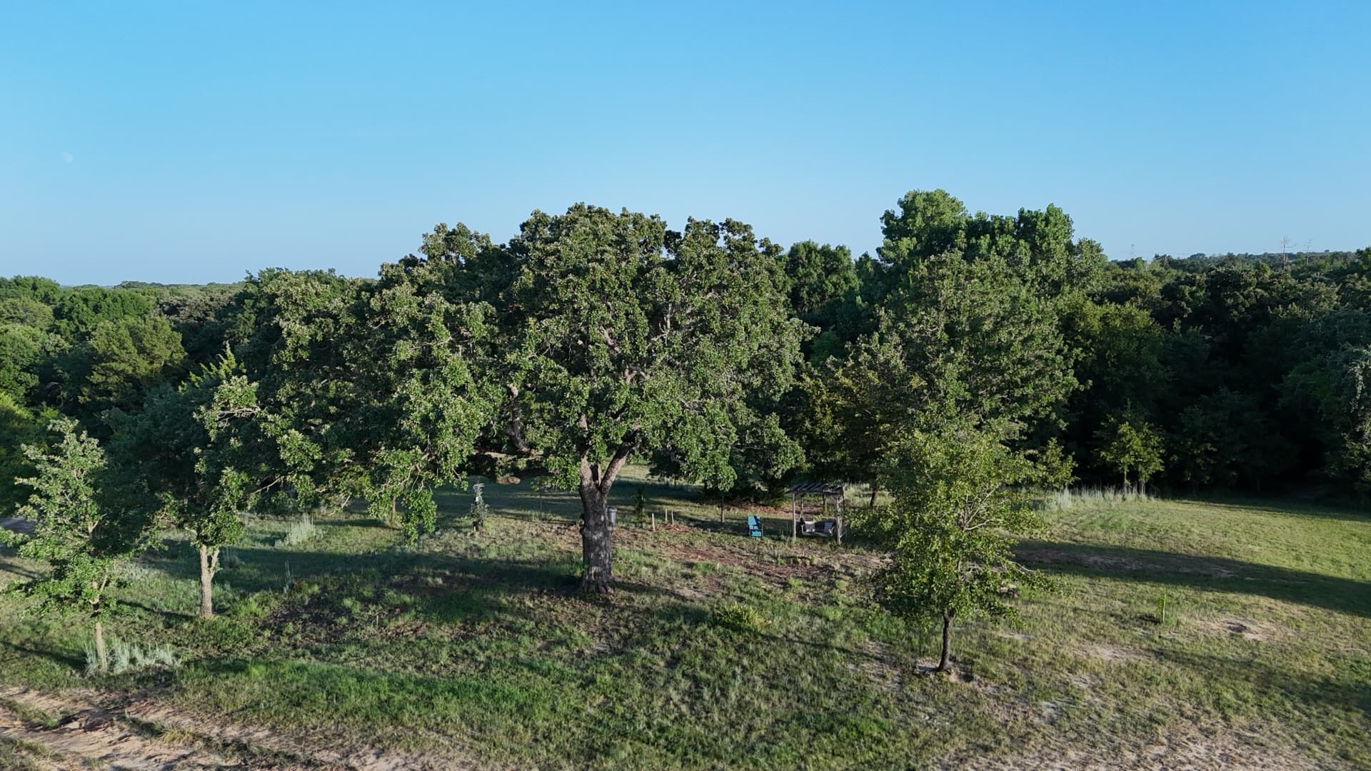 Aerial drone photo of a historic Aermotor windmill with a 33-foot tower standing in a pasture surrounded by oak trees